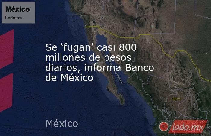 Se ‘fugan’ casi 800 millones de pesos diarios, informa Banco de México. Noticias en tiempo real