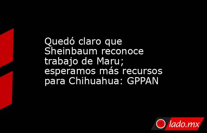 Quedó claro que Sheinbaum reconoce trabajo de Maru; esperamos más recursos para Chihuahua: GPPAN. Noticias en tiempo real