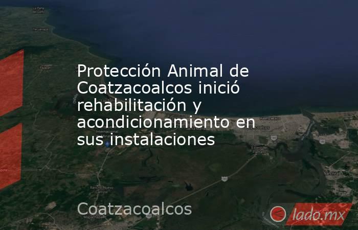 Protección Animal de Coatzacoalcos inició rehabilitación y acondicionamiento en sus instalaciones. Noticias en tiempo real