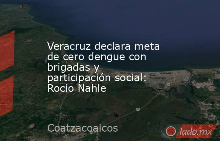 Veracruz declara meta de cero dengue con brigadas y participación social: Rocío Nahle. Noticias en tiempo real