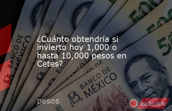 ¿Cuánto obtendría si invierto hoy 1,000 o hasta 10,000 pesos en Cetes?. Noticias en tiempo real