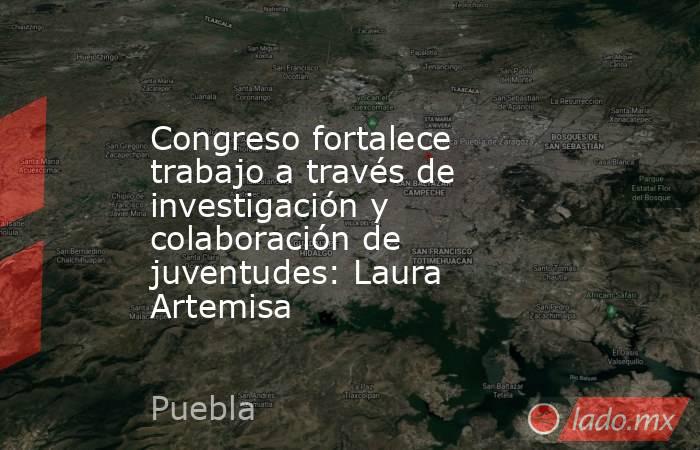 Congreso fortalece trabajo a través de investigación y colaboración de juventudes: Laura Artemisa. Noticias en tiempo real