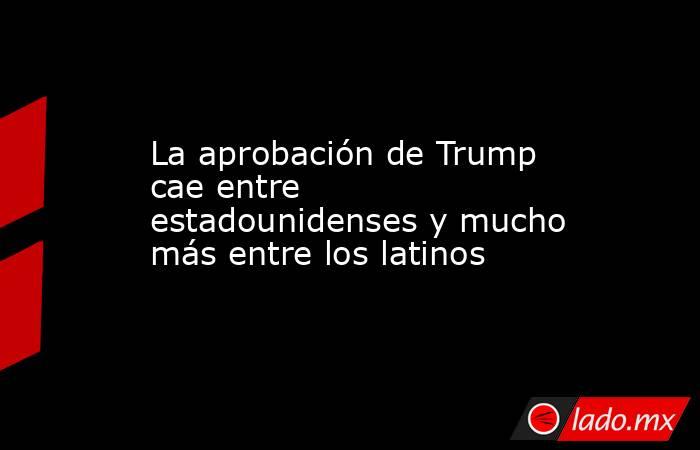 La aprobación de Trump cae entre estadounidenses y mucho más entre los latinos. Noticias en tiempo real