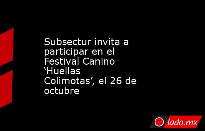 Subsectur invita a participar en el Festival Canino ‘Huellas Colimotas’, el 26 de octubre. Noticias en tiempo real