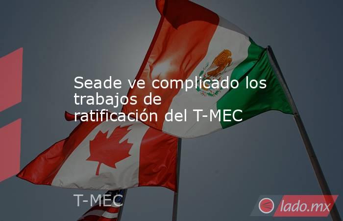 Seade ve complicado los trabajos de ratificación del T-MEC. Noticias en tiempo real