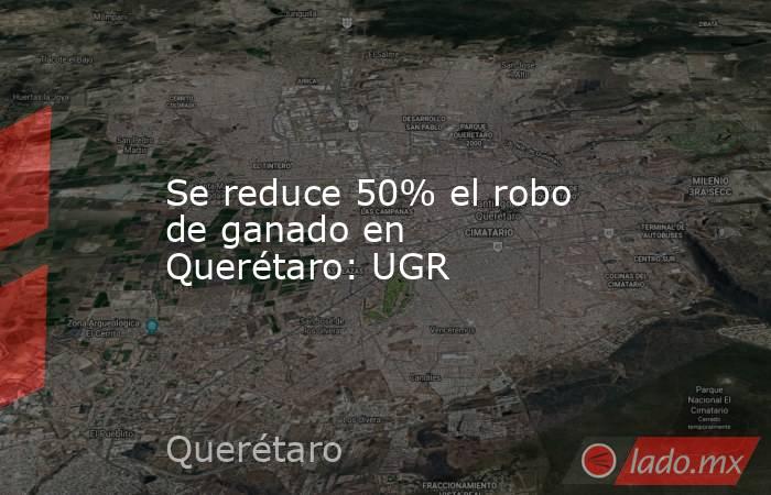 Se reduce 50% el robo de ganado en Querétaro: UGR. Noticias en tiempo real