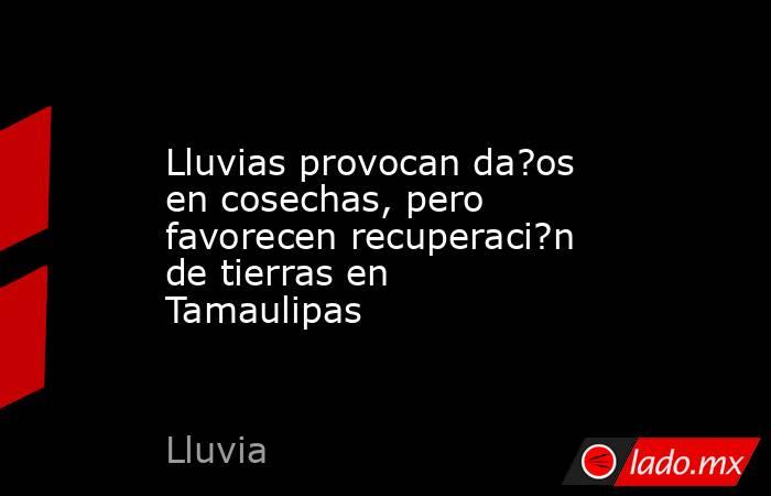 Lluvias provocan da?os en cosechas, pero favorecen recuperaci?n de tierras en Tamaulipas. Noticias en tiempo real