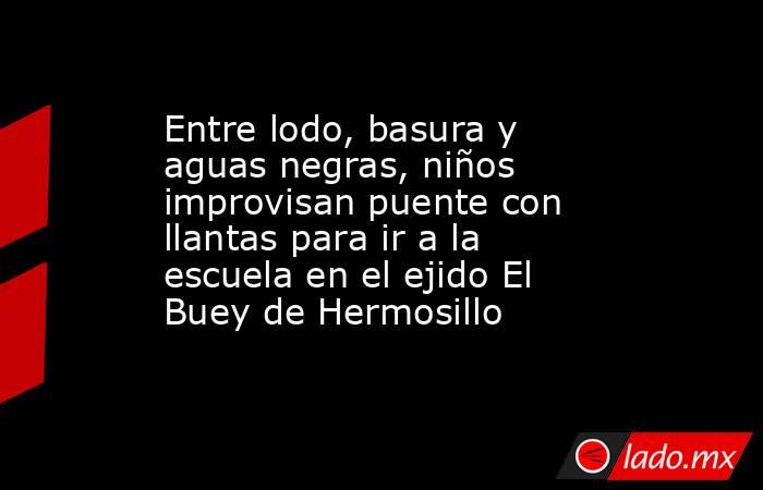 Entre lodo, basura y aguas negras, niños improvisan puente con llantas para ir a la escuela en el ejido El Buey de Hermosillo. Noticias en tiempo real
