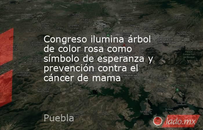 Congreso ilumina árbol de color rosa como símbolo de esperanza y prevención contra el cáncer de mama. Noticias en tiempo real