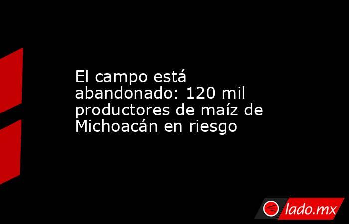 El campo está abandonado: 120 mil productores de maíz de Michoacán en riesgo. Noticias en tiempo real