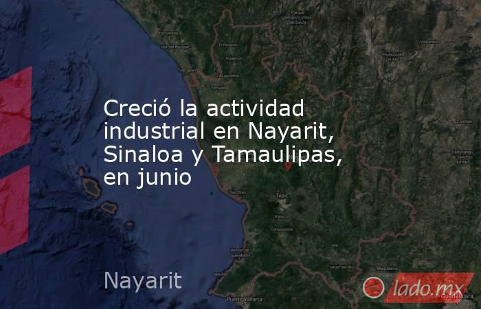 Creció la actividad industrial en Nayarit, Sinaloa y Tamaulipas, en junio. Noticias en tiempo real