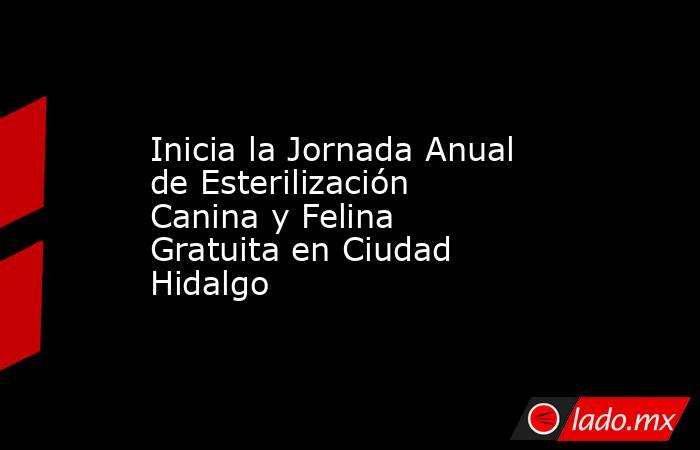 Inicia la Jornada Anual de Esterilización Canina y Felina Gratuita en Ciudad Hidalgo. Noticias en tiempo real