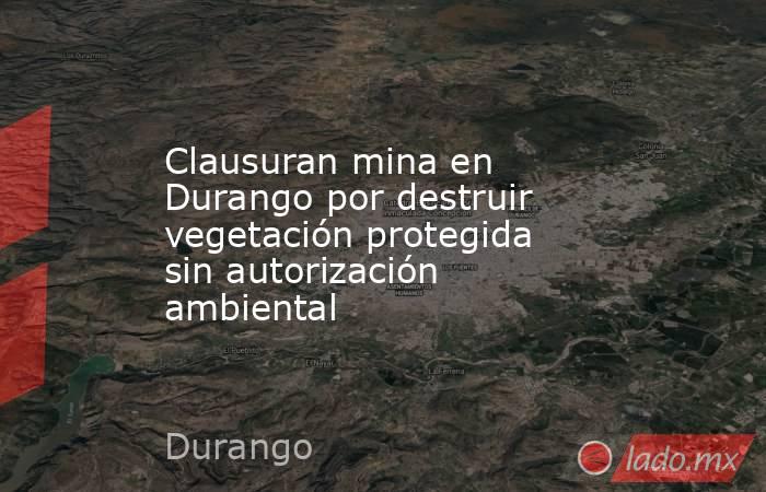 Clausuran mina en Durango por destruir vegetación protegida sin autorización ambiental. Noticias en tiempo real