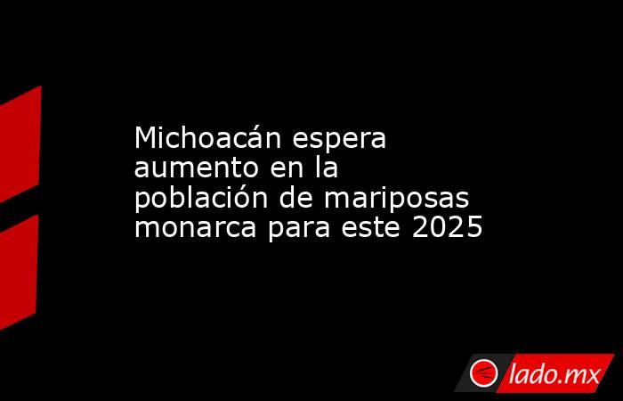 Michoacán espera aumento en la población de mariposas monarca para este 2025. Noticias en tiempo real