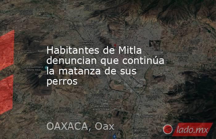Habitantes de Mitla denuncian que continúa la matanza de sus perros. Noticias en tiempo real