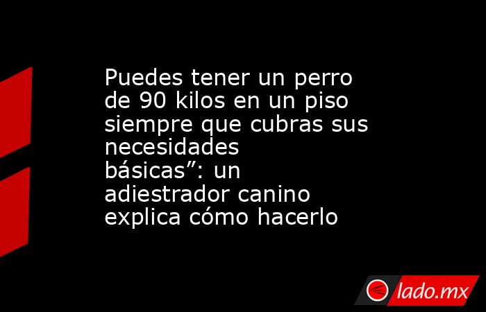 Puedes tener un perro de 90 kilos en un piso siempre que cubras sus necesidades básicas”: un adiestrador canino explica cómo hacerlo. Noticias en tiempo real