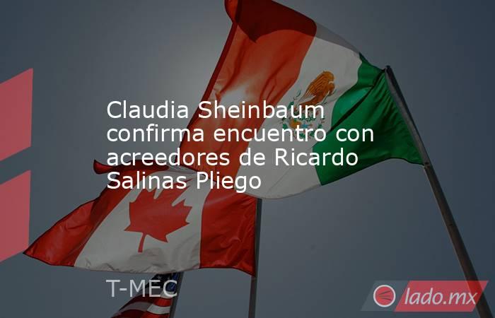 Claudia Sheinbaum confirma encuentro con acreedores de Ricardo Salinas Pliego. Noticias en tiempo real