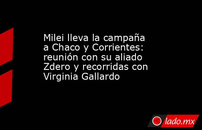 Milei lleva la campaña a Chaco y Corrientes: reunión con su aliado Zdero y recorridas con Virginia Gallardo . Noticias en tiempo real