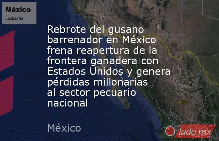 Rebrote del gusano barrenador en México frena reapertura de la frontera ganadera con Estados Unidos y genera pérdidas millonarias al sector pecuario nacional. Noticias en tiempo real