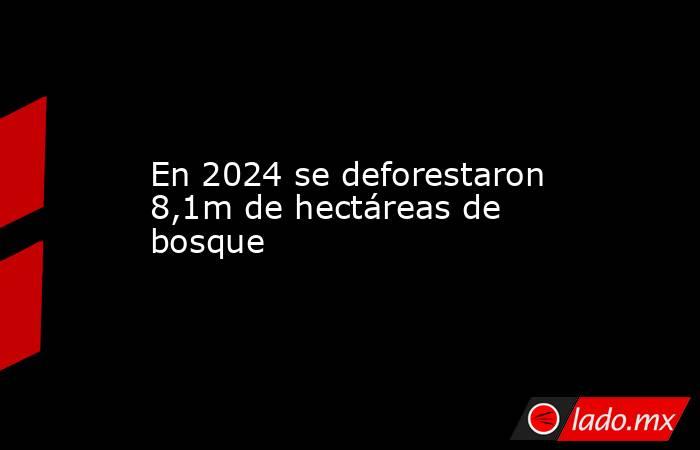 En 2024 se deforestaron 8,1m de hectáreas de bosque. Noticias en tiempo real