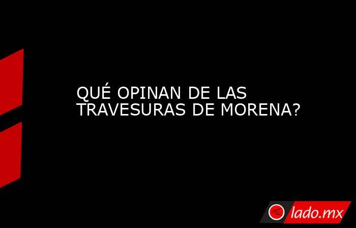 QUÉ OPINAN DE LAS TRAVESURAS DE MORENA?. Noticias en tiempo real