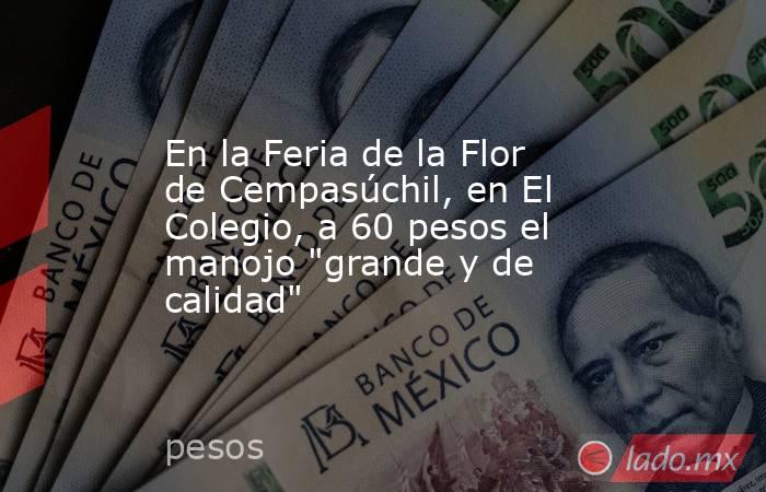 En la Feria de la Flor de Cempasúchil, en El Colegio, a 60 pesos el manojo 