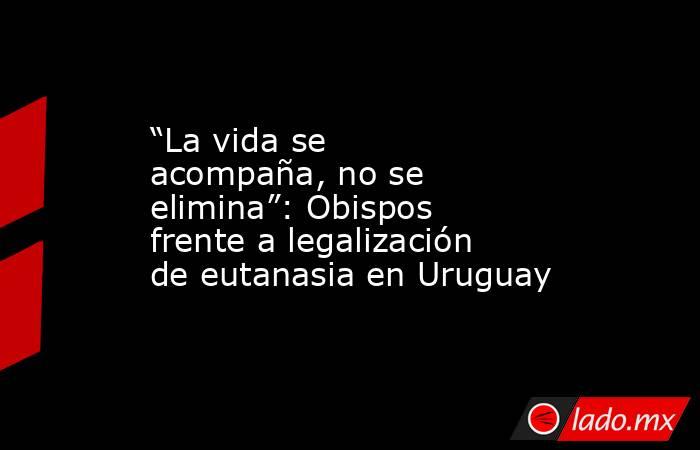 “La vida se acompaña, no se elimina”: Obispos frente a legalización de eutanasia en Uruguay. Noticias en tiempo real