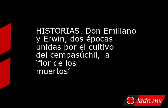 HISTORIAS. Don Emiliano y Erwin, dos épocas unidas por el cultivo del cempasúchil, la ‘flor de los muertos’. Noticias en tiempo real