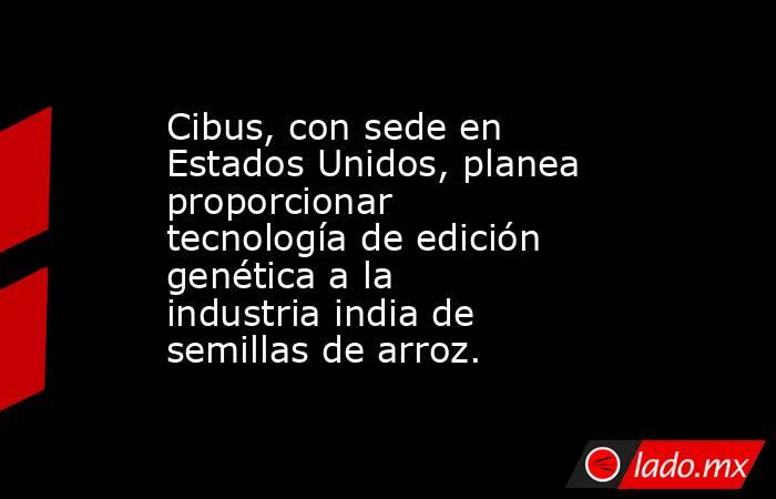Cibus, con sede en Estados Unidos, planea proporcionar tecnología de edición genética a la industria india de semillas de arroz.. Noticias en tiempo real