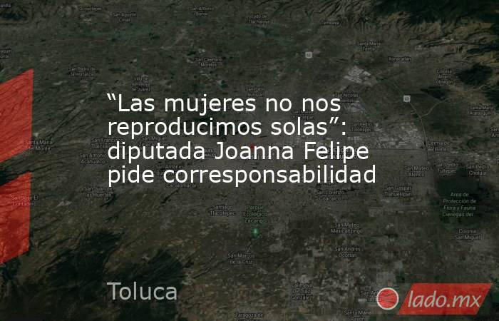 “Las mujeres no nos reproducimos solas”: diputada Joanna Felipe pide corresponsabilidad. Noticias en tiempo real