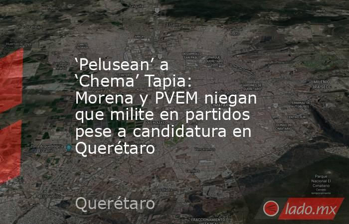 ‘Pelusean’ a ‘Chema’ Tapia: Morena y PVEM niegan que milite en partidos pese a candidatura en Querétaro. Noticias en tiempo real