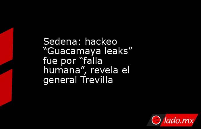 Sedena: hackeo “Guacamaya leaks” fue por “falla humana”, revela el general Trevilla. Noticias en tiempo real