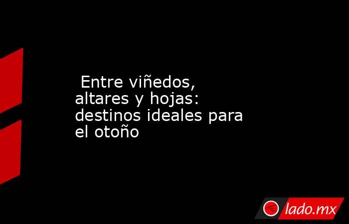  Entre viñedos, altares y hojas: destinos ideales para el otoño. Noticias en tiempo real
