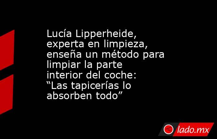 Lucía Lipperheide, experta en limpieza, enseña un método para limpiar la parte interior del coche: “Las tapicerías lo absorben todo”. Noticias en tiempo real