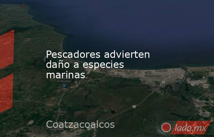 Pescadores advierten  daño a especies marinas. Noticias en tiempo real
