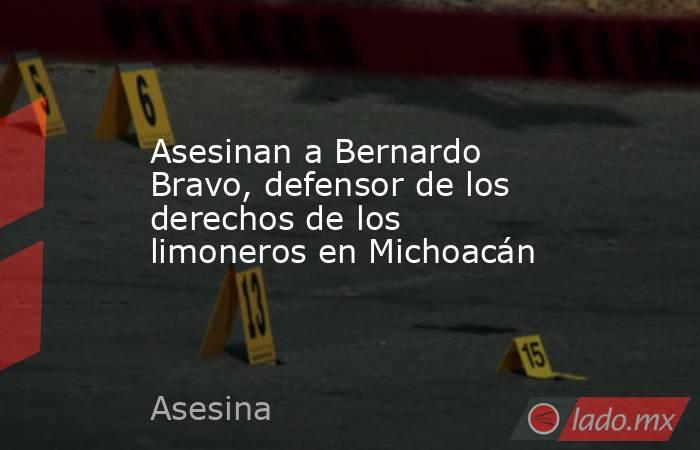 Asesinan a Bernardo Bravo, defensor de los derechos de los limoneros en Michoacán. Noticias en tiempo real