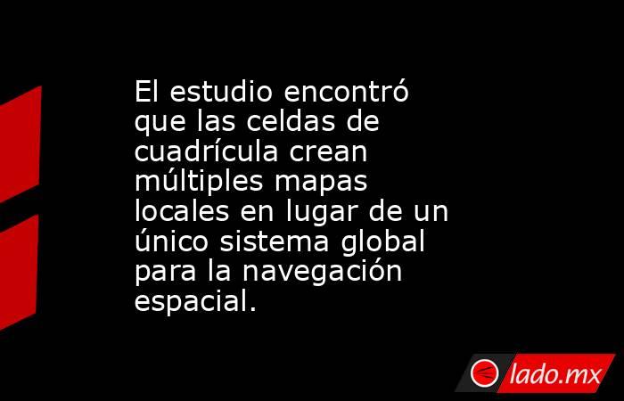 El estudio encontró que las celdas de cuadrícula crean múltiples mapas locales en lugar de un único sistema global para la navegación espacial.. Noticias en tiempo real