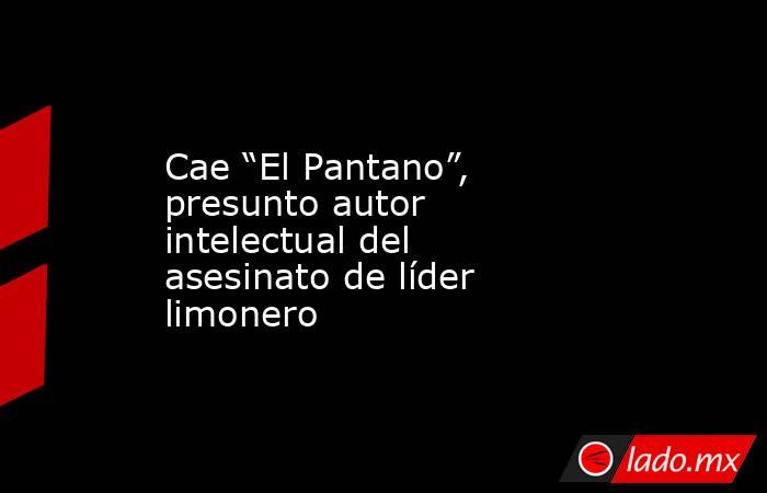 Cae “El Pantano”, presunto autor intelectual del asesinato de líder limonero. Noticias en tiempo real