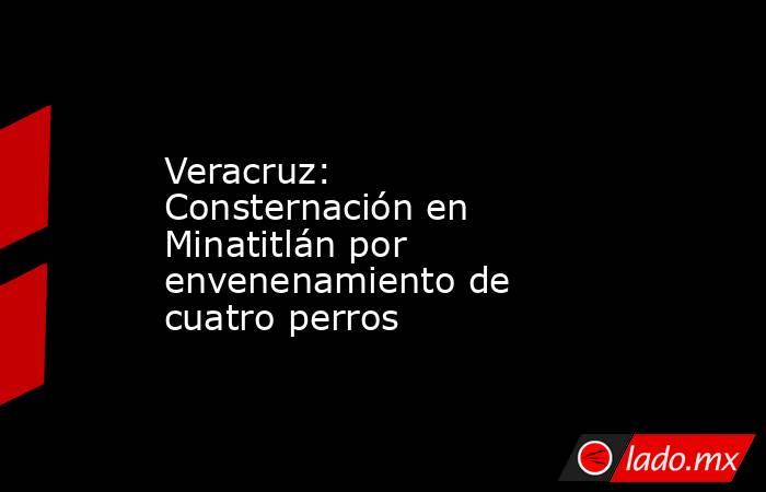 Veracruz: Consternación en Minatitlán por envenenamiento de cuatro perros. Noticias en tiempo real