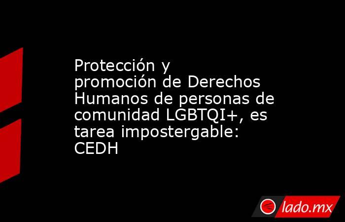 Protección y promoción de Derechos Humanos de personas de comunidad LGBTQI+, es tarea impostergable: CEDH. Noticias en tiempo real