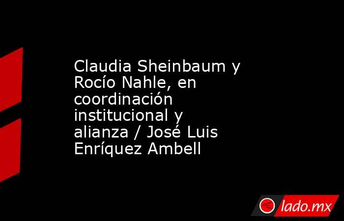 Claudia Sheinbaum y Rocío Nahle, en coordinación institucional y alianza / José Luis Enríquez Ambell. Noticias en tiempo real