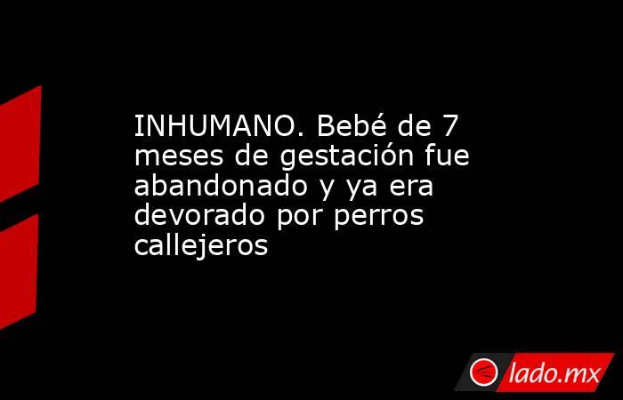 INHUMANO. Bebé de 7 meses de gestación fue abandonado y ya era devorado por perros callejeros. Noticias en tiempo real