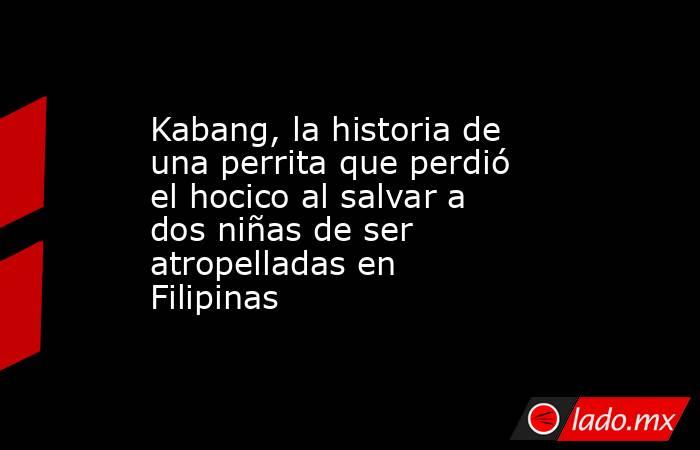 Kabang, la historia de una perrita que perdió el hocico al salvar a dos niñas de ser atropelladas en Filipinas. Noticias en tiempo real