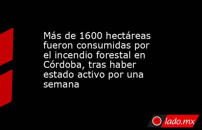 Más de 1600 hectáreas fueron consumidas por el incendio forestal en Córdoba, tras haber estado activo por una semana . Noticias en tiempo real