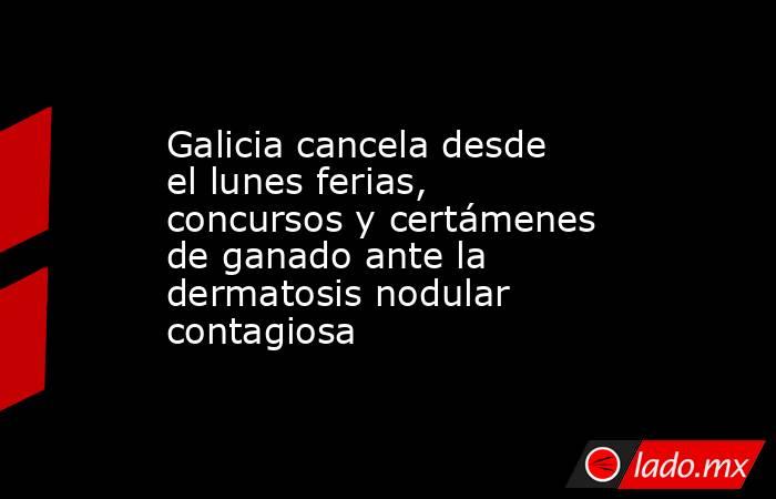 Galicia cancela desde el lunes ferias, concursos y certámenes de ganado ante la dermatosis nodular contagiosa. Noticias en tiempo real