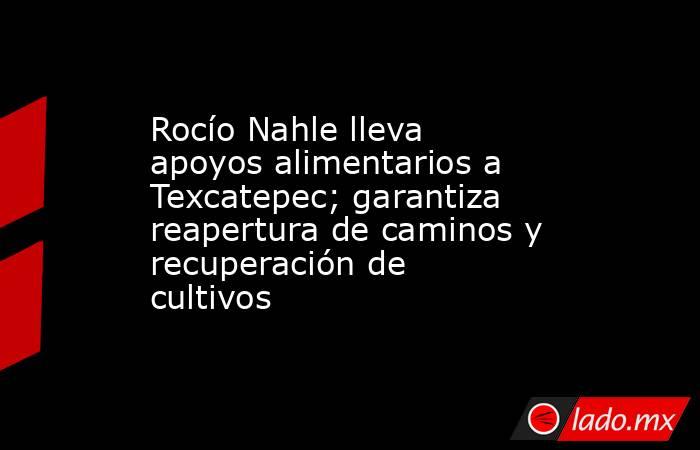 Rocío Nahle lleva apoyos alimentarios a Texcatepec; garantiza reapertura de caminos y recuperación de cultivos. Noticias en tiempo real