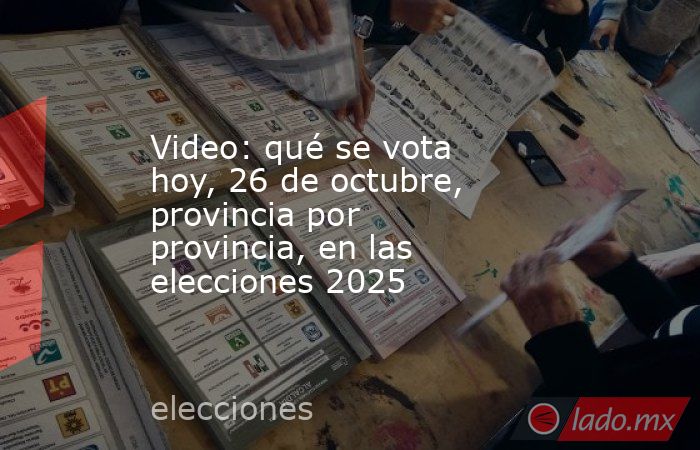 Video: qué se vota hoy, 26 de octubre, provincia por provincia, en las ...