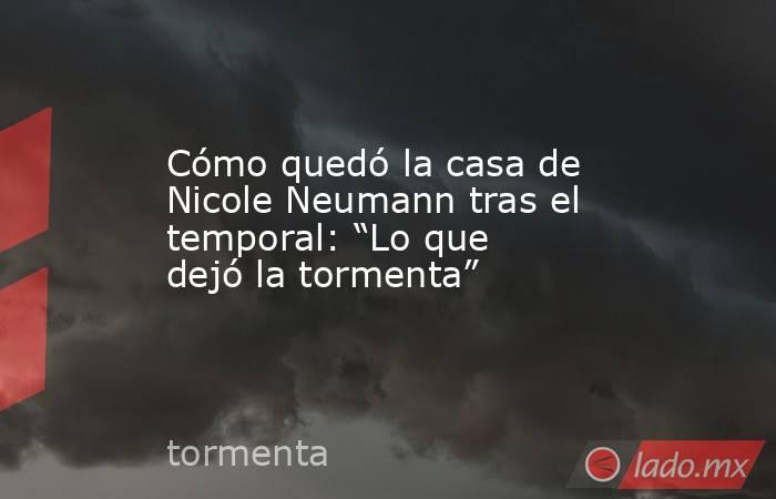 Cómo quedó la casa de Nicole Neumann tras el temporal: “Lo que dejó la tormenta” . Noticias en tiempo real