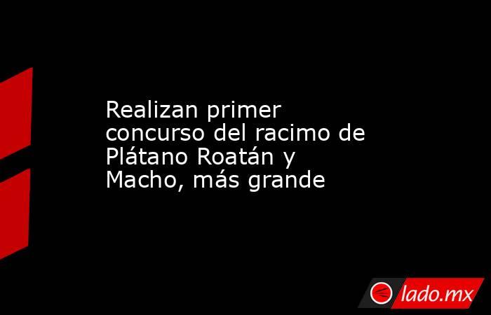 Realizan primer concurso del racimo de Plátano Roatán y Macho, más grande. Noticias en tiempo real