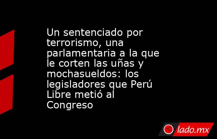 Un sentenciado por terrorismo, una parlamentaria a la que le corten las uñas y mochasueldos: los legisladores que Perú Libre metió al Congreso. Noticias en tiempo real